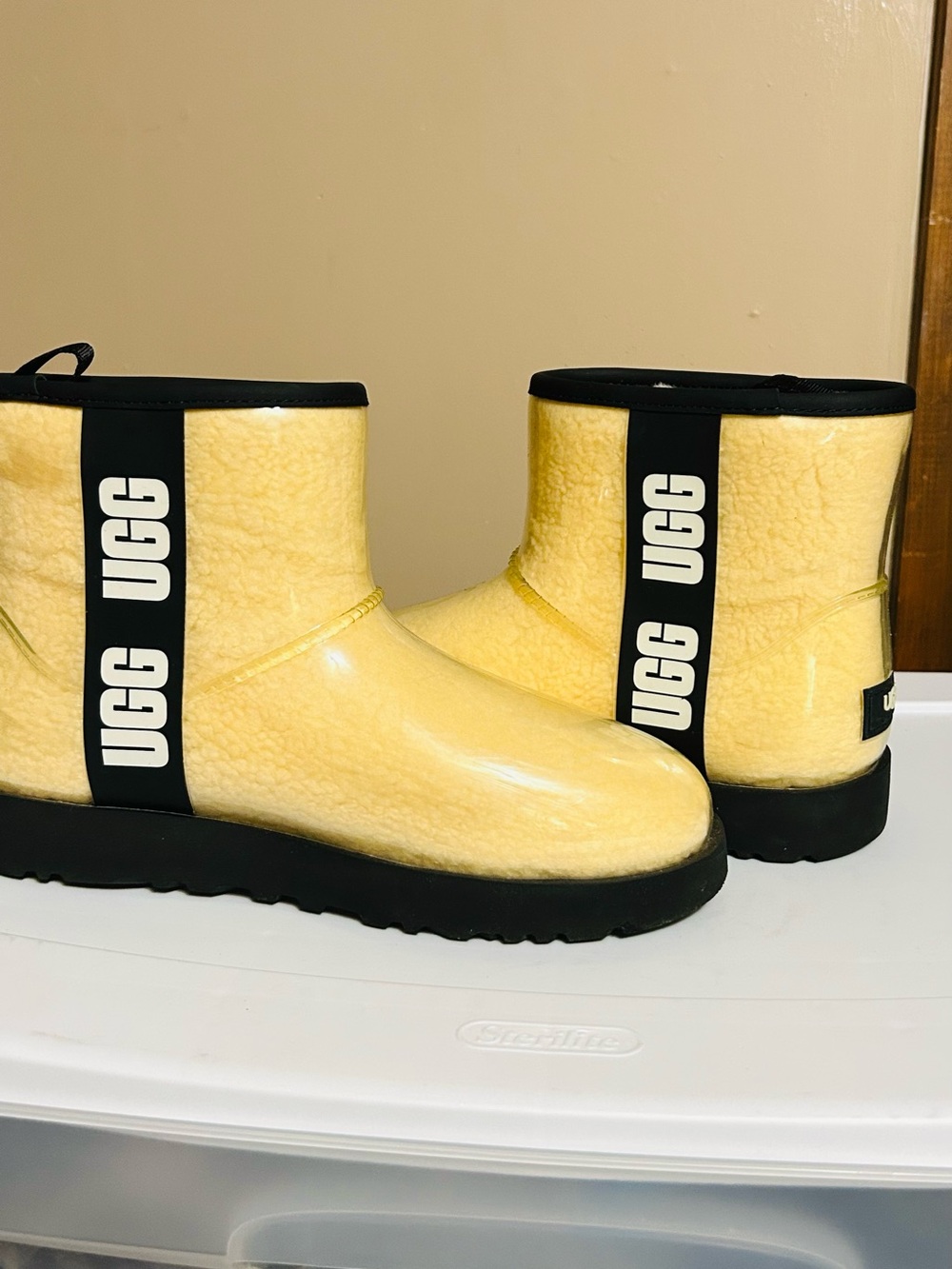 UGG Women Clear Mini Boot
